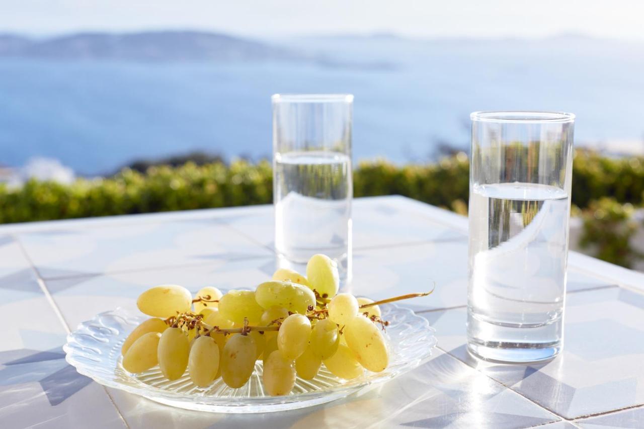 Villa Amare Mykonos Tourlos Exterior foto